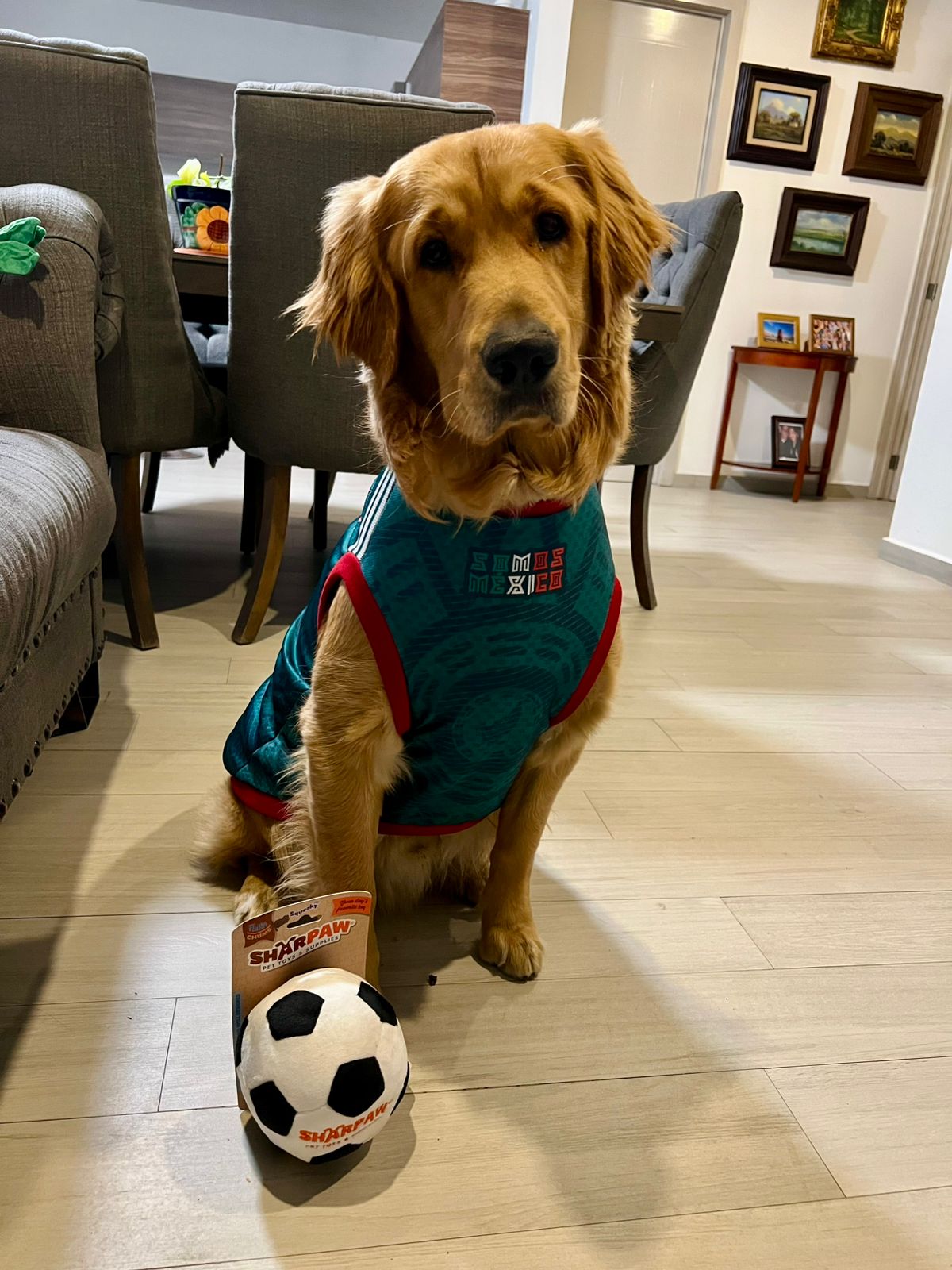 PLAYERA MUNDIALISTA PARA PERRITOS